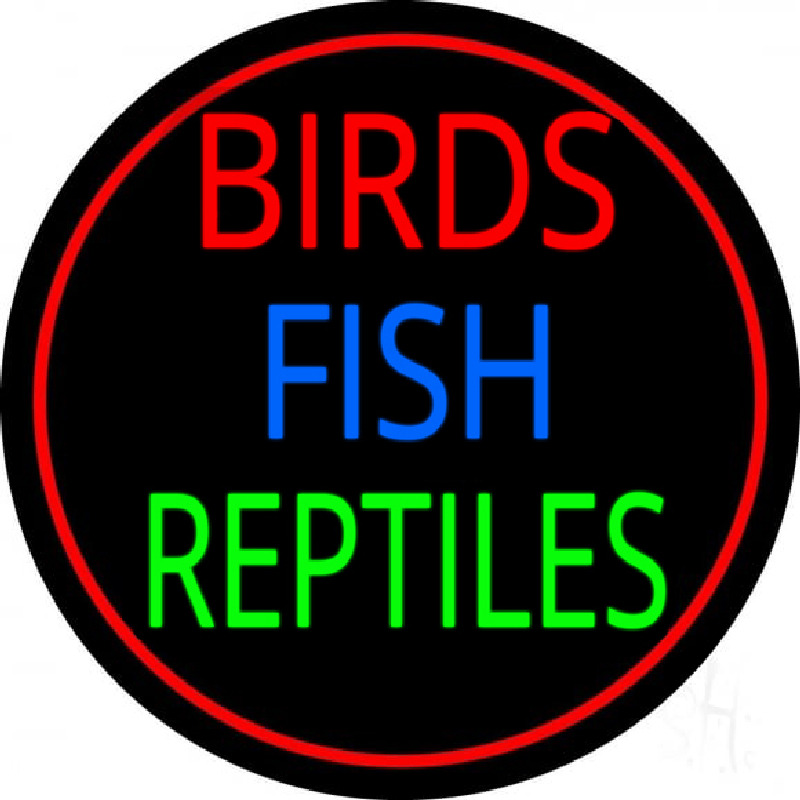 Birds Fish Reptiles 2 Neonreclame