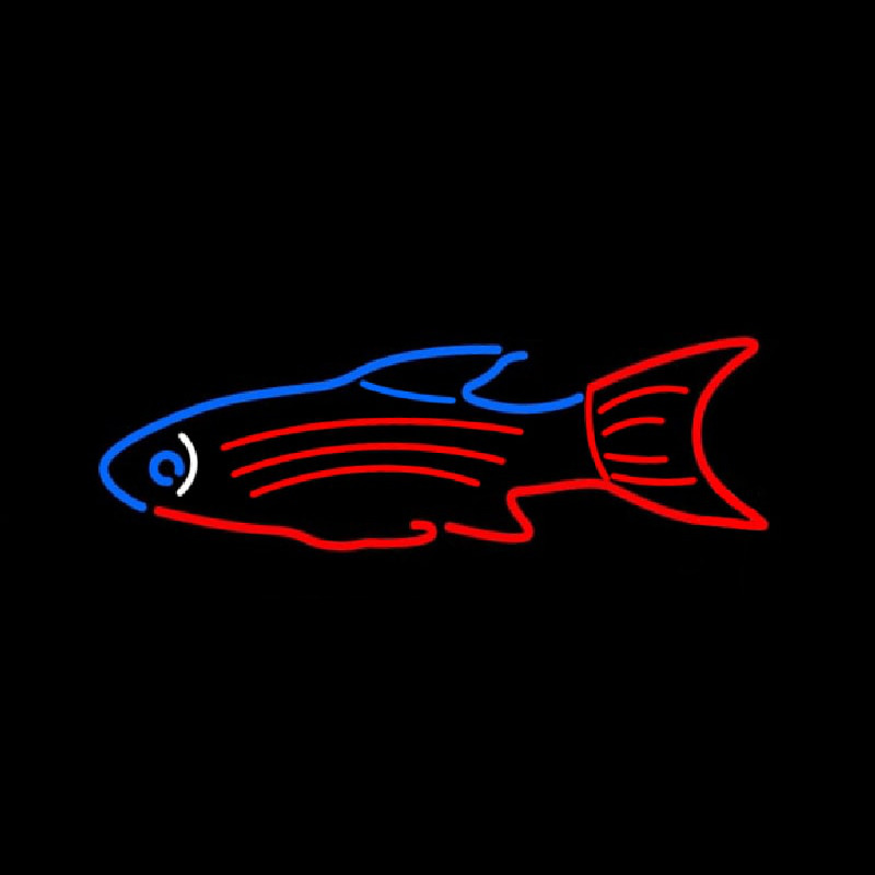 Blue Red Fish Neonreclame