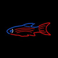 Blue Red Fish Neonreclame