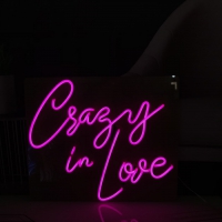 Crazy in Love Neonreclame