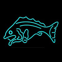 Fish Tuquoise Logo 1 Neonreclame