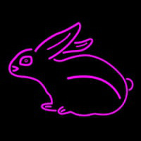 Pink Rabbit Neonreclame