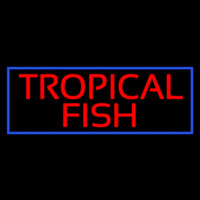 Tropical Fish Blue Border Neonreclame