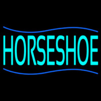 Turquoise Horseshoe Neonreclame